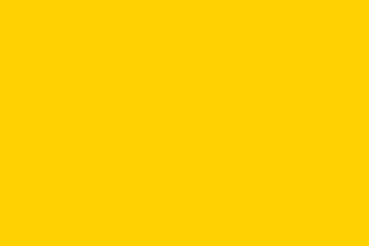 Felt Mango