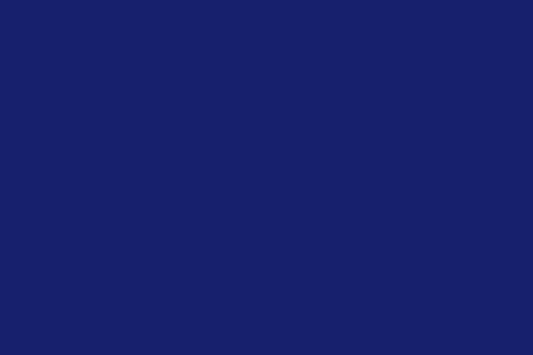 Felt Royal