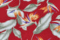 TAB0032 Burgundy