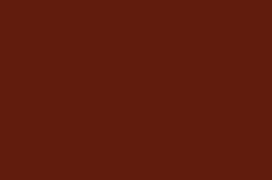 Flat Taffeta Rust