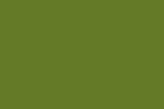 Flat Taffeta Dark Lime