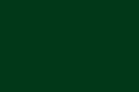 Flat Taffeta Seafoam