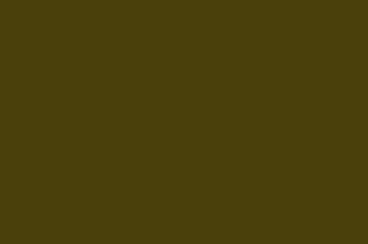 Flat Taffeta Olive
