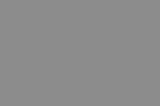 Crushed Taffeta Charcoal