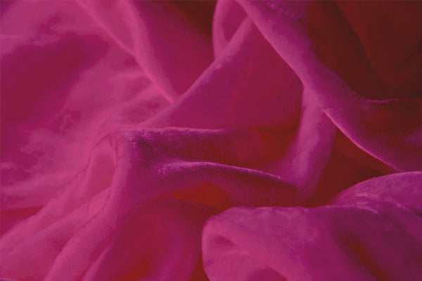 Stretch Velvet (Spandex) Fuchsia