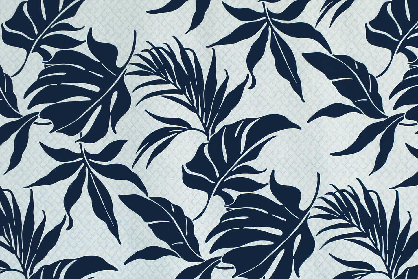 CAA0001 Navy
