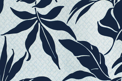 CAA0001 Navy