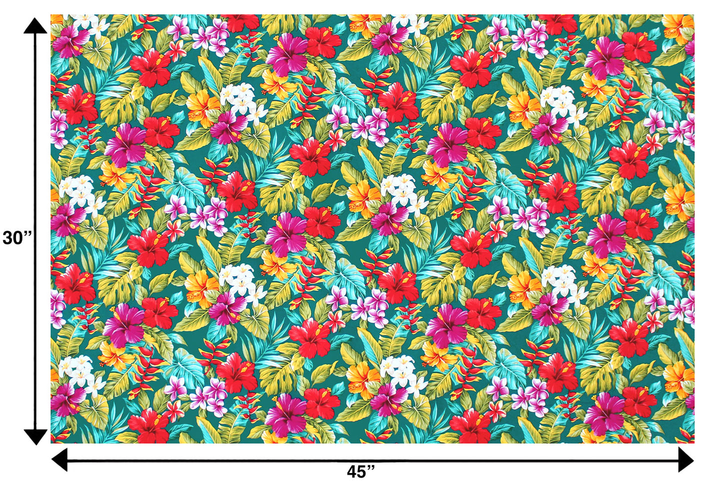 CAA0002 Teal