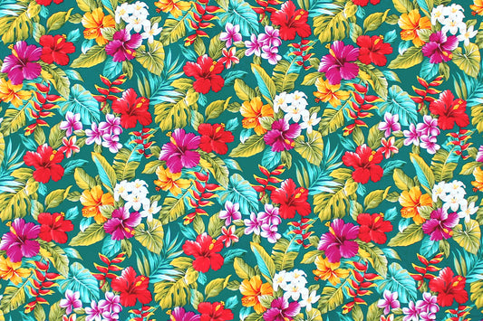 CAA0002 Teal
