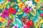 CAA0002 Teal
