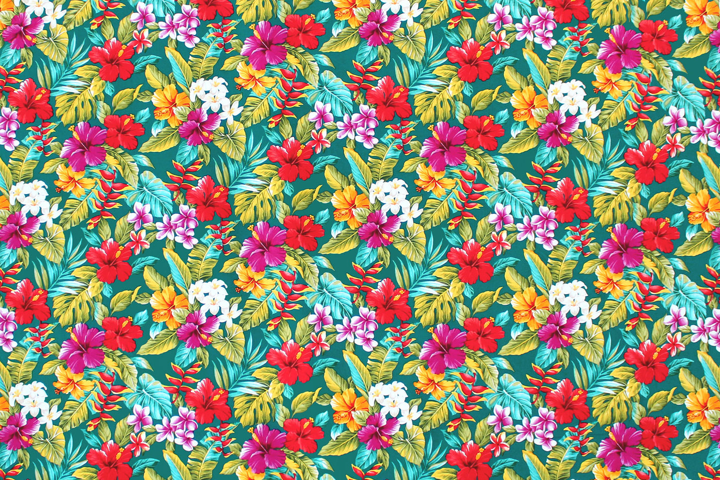 CAA0002 Teal