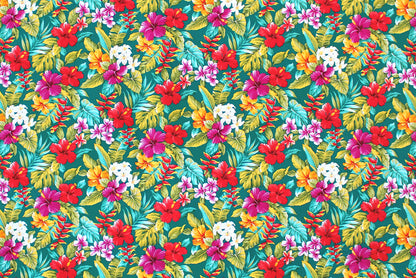 CAA0002 Teal