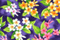 CAA0003 Purple