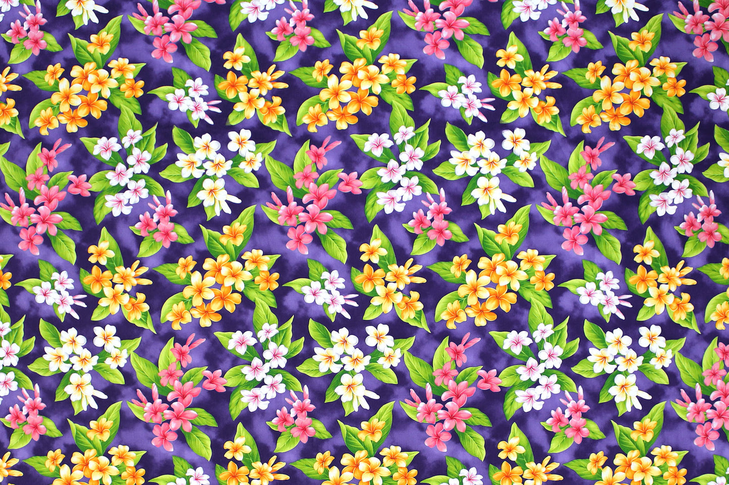 CAA0003 Purple