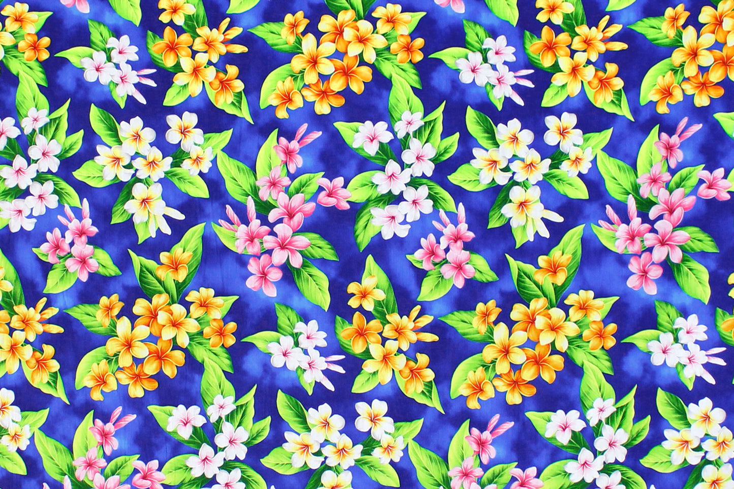 CAA0003 Royal