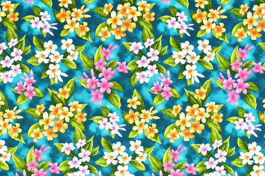 CAA0003 Turquoise