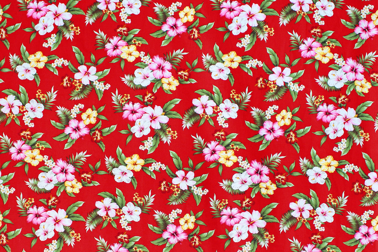 CAA0004 Red