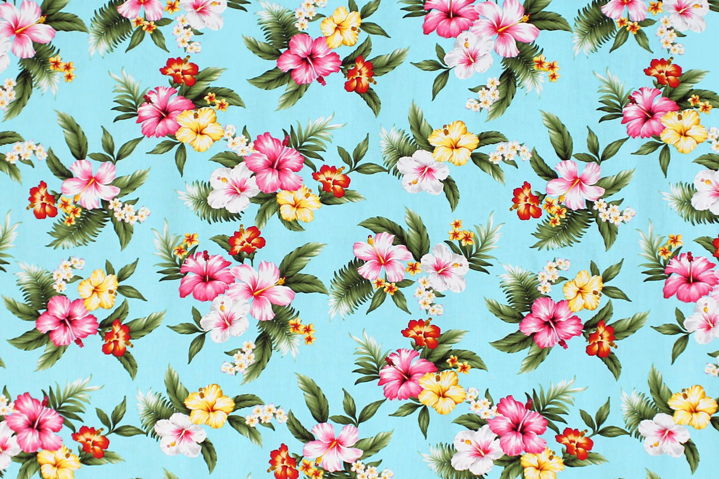 CAA0004 Turquoise