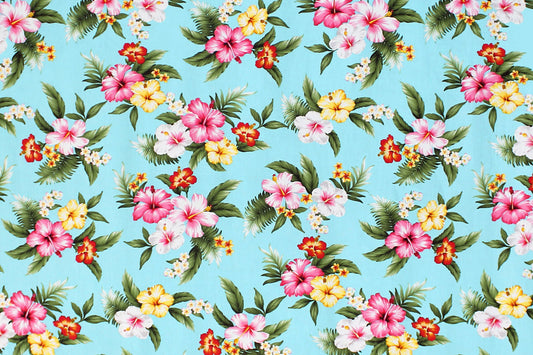 CAA0004 Turquoise