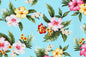 CAA0004 Turquoise