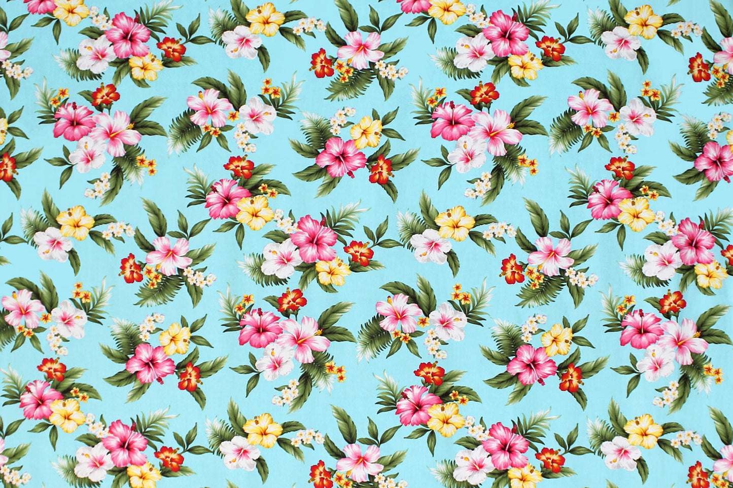 CAA0004 Turquoise