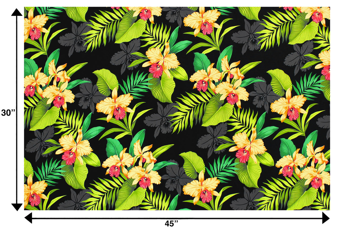 CAA0005 Black
