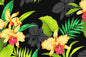 CAA0005 Black