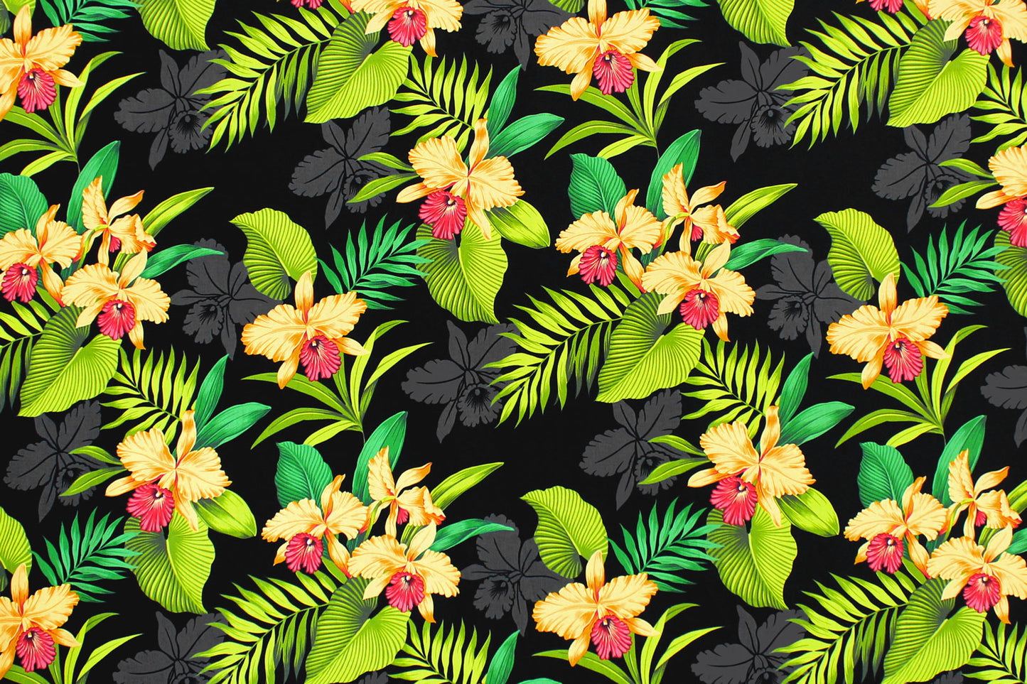 CAA0005 Black