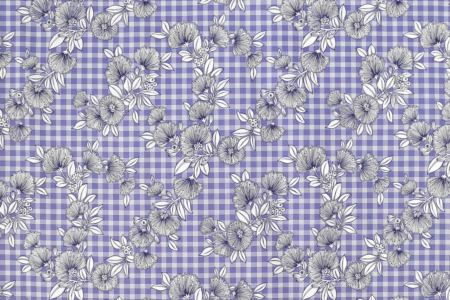 CAA0007 Purple