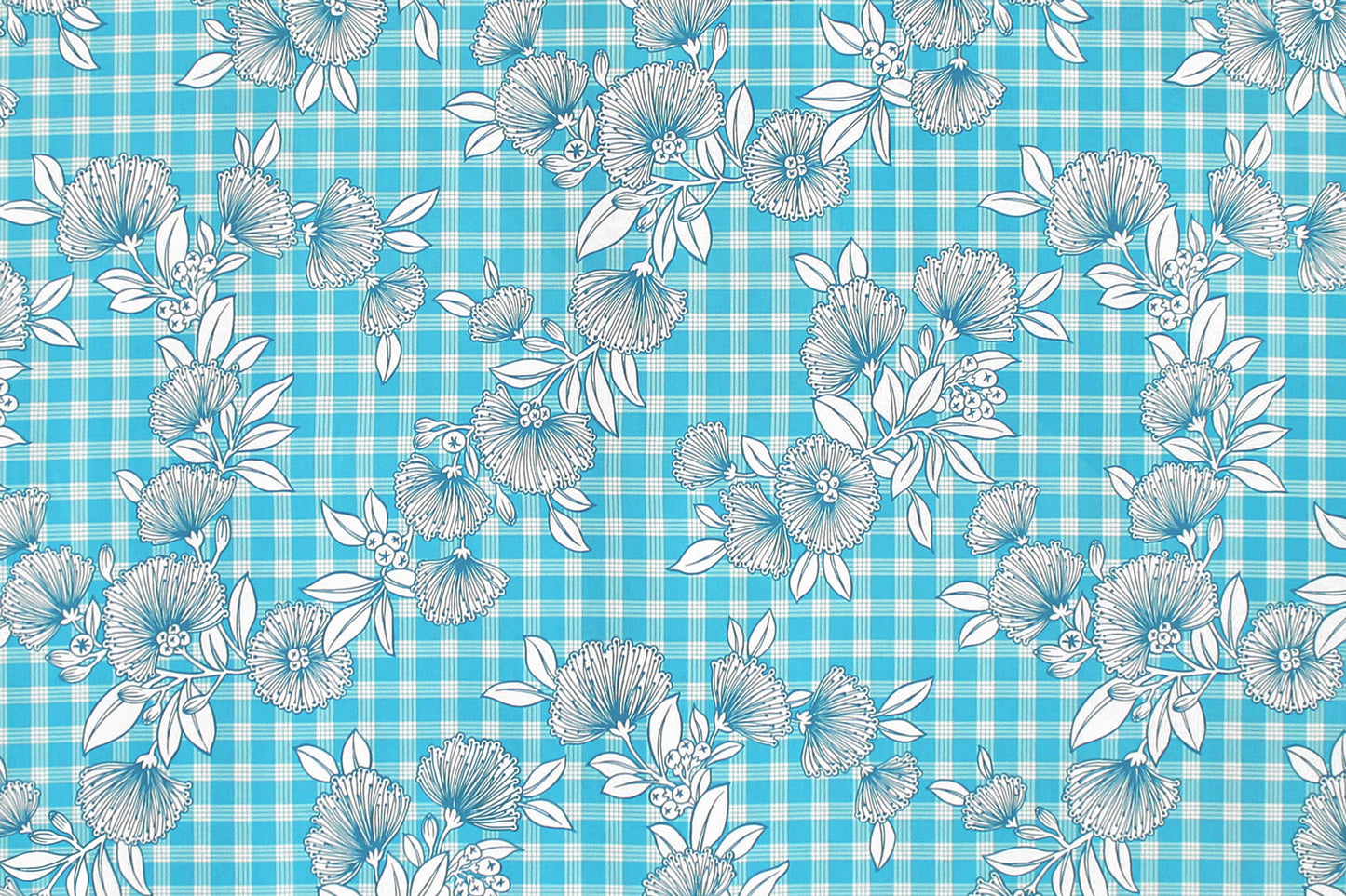 CAA0007 Turquoise