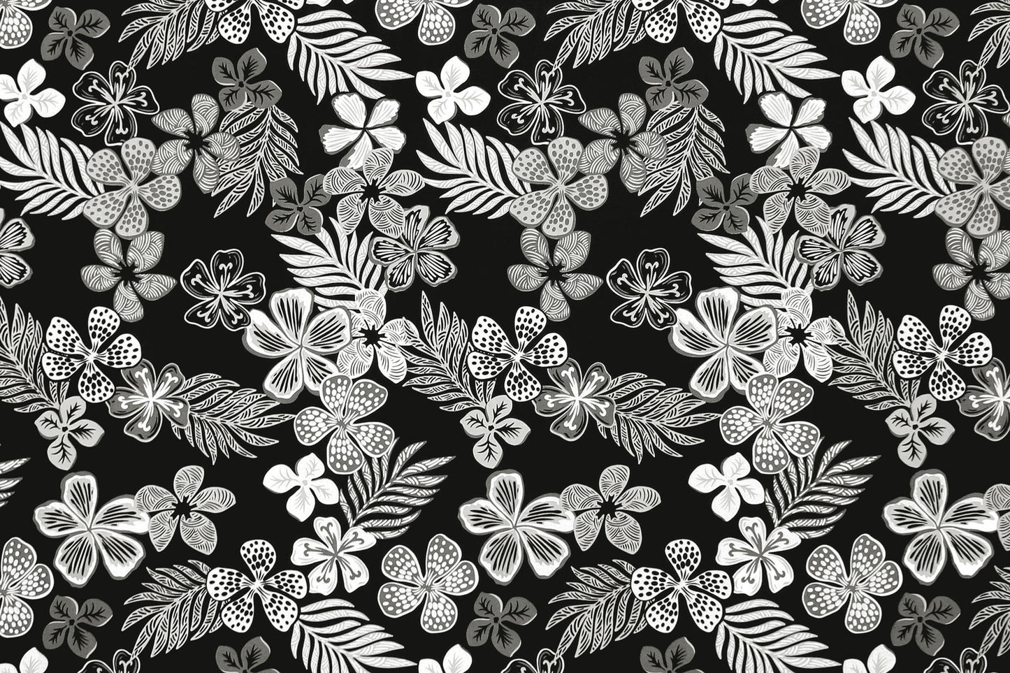 CAA0008 Black