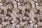 CAA0008 Brown