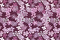 CAA0008 Purple