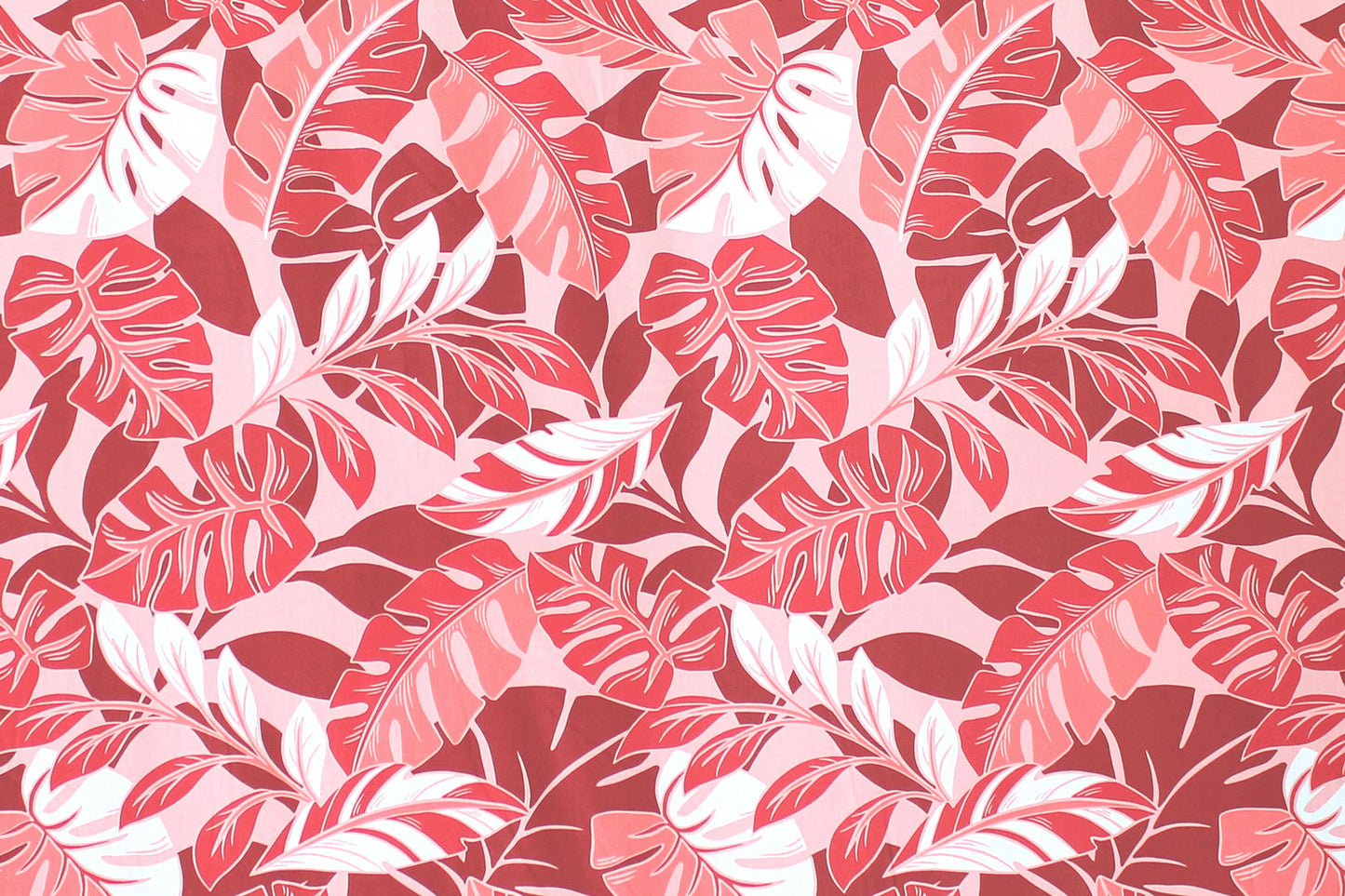 CAA0009 Coral