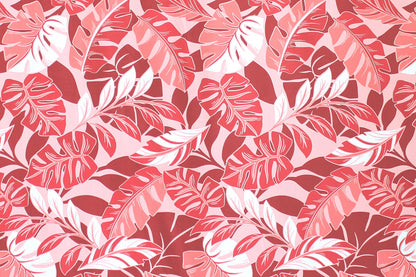CAA0009 Coral
