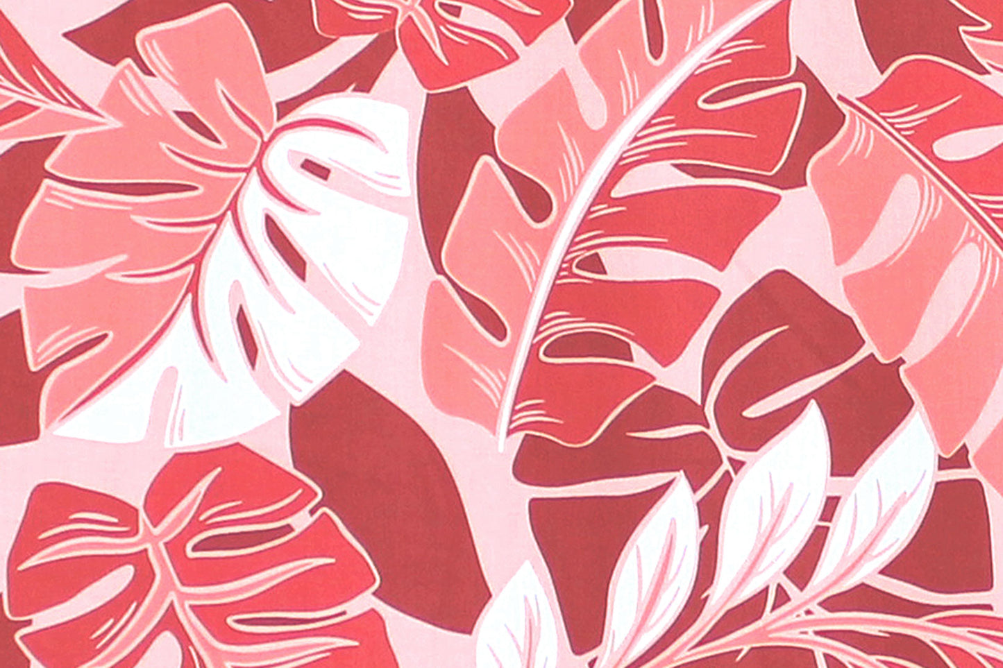 CAA0009 Coral