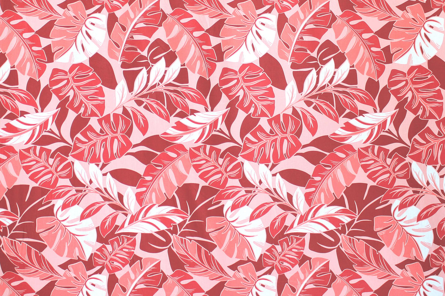 CAA0009 Coral