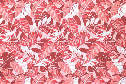 CAA0009 Coral