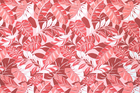 CAA0009 Coral