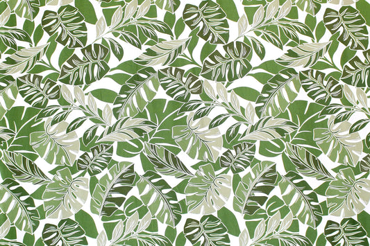 CAA0009 Green