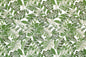 CAA0009 Green