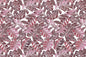 CAA0009 Mauve
