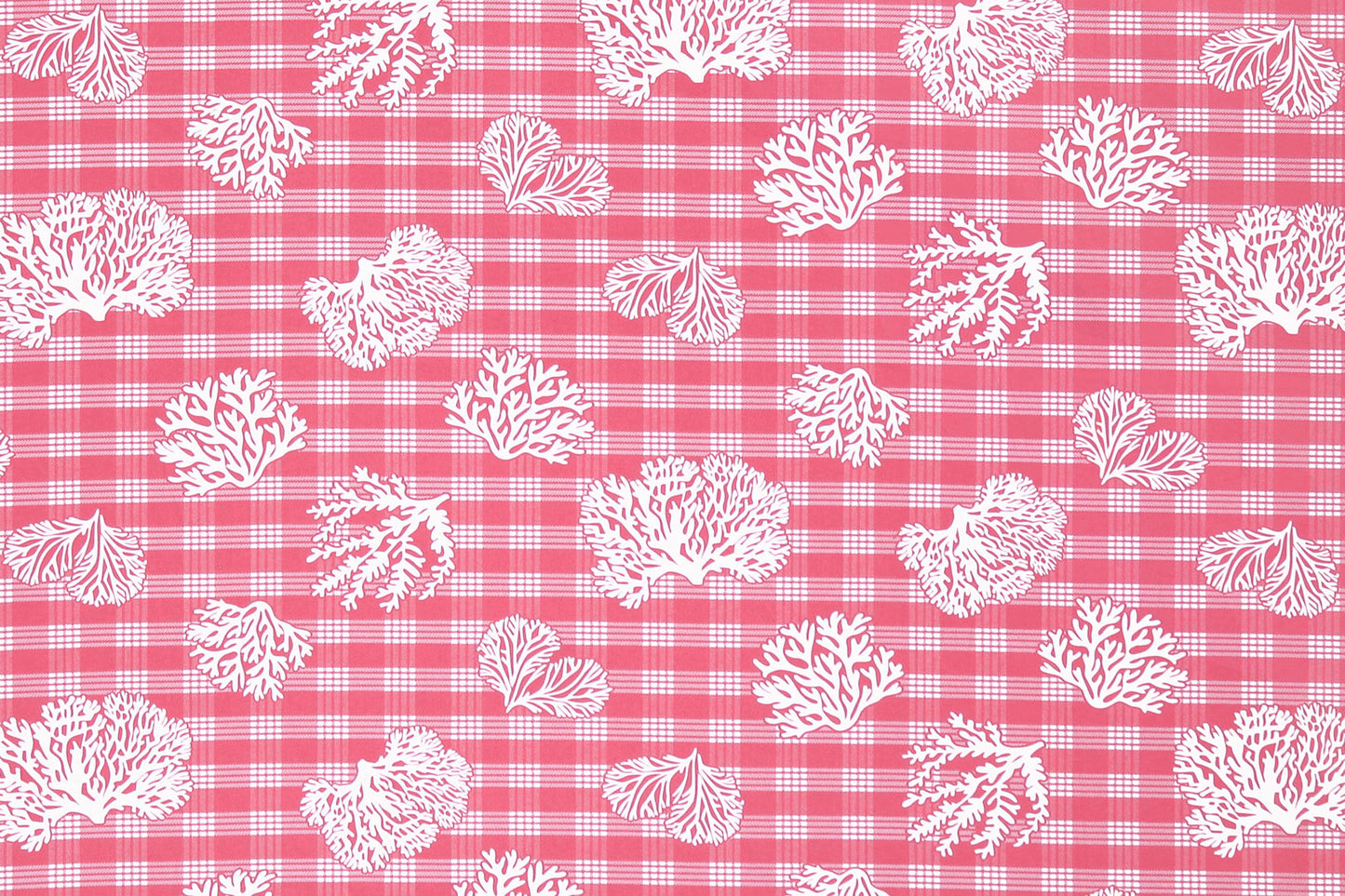 CAA0010 Coral