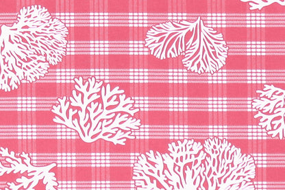 CAA0010 Coral