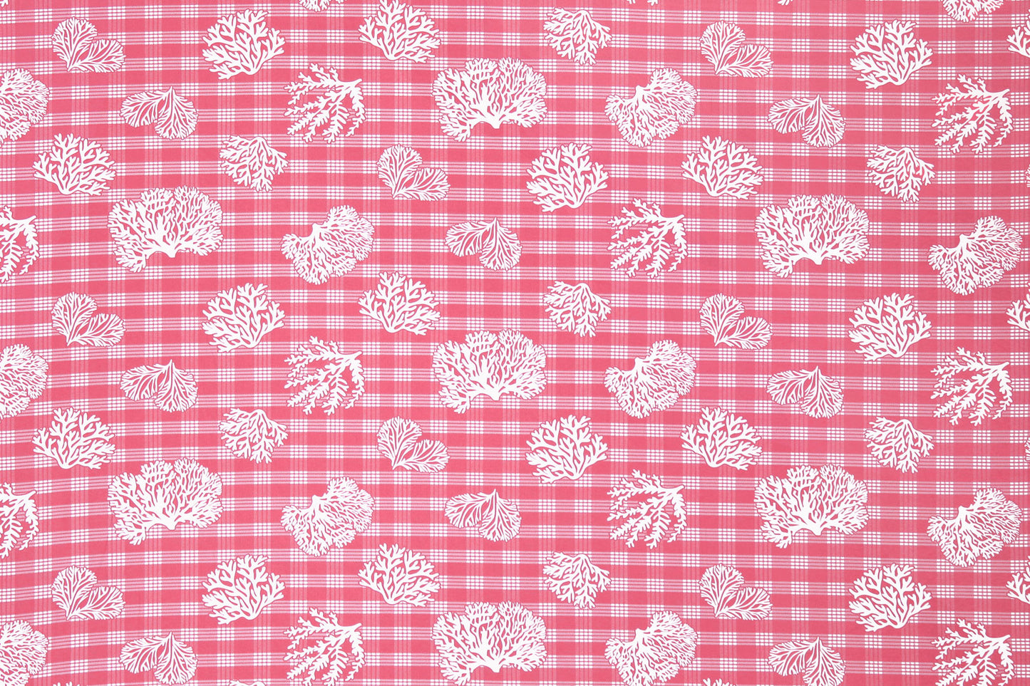 CAA0010 Coral