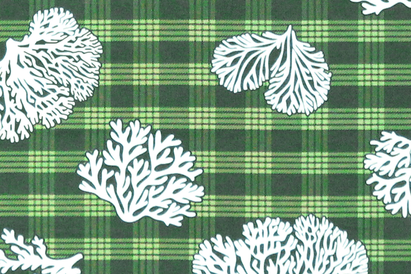 CAA0010 Hunter