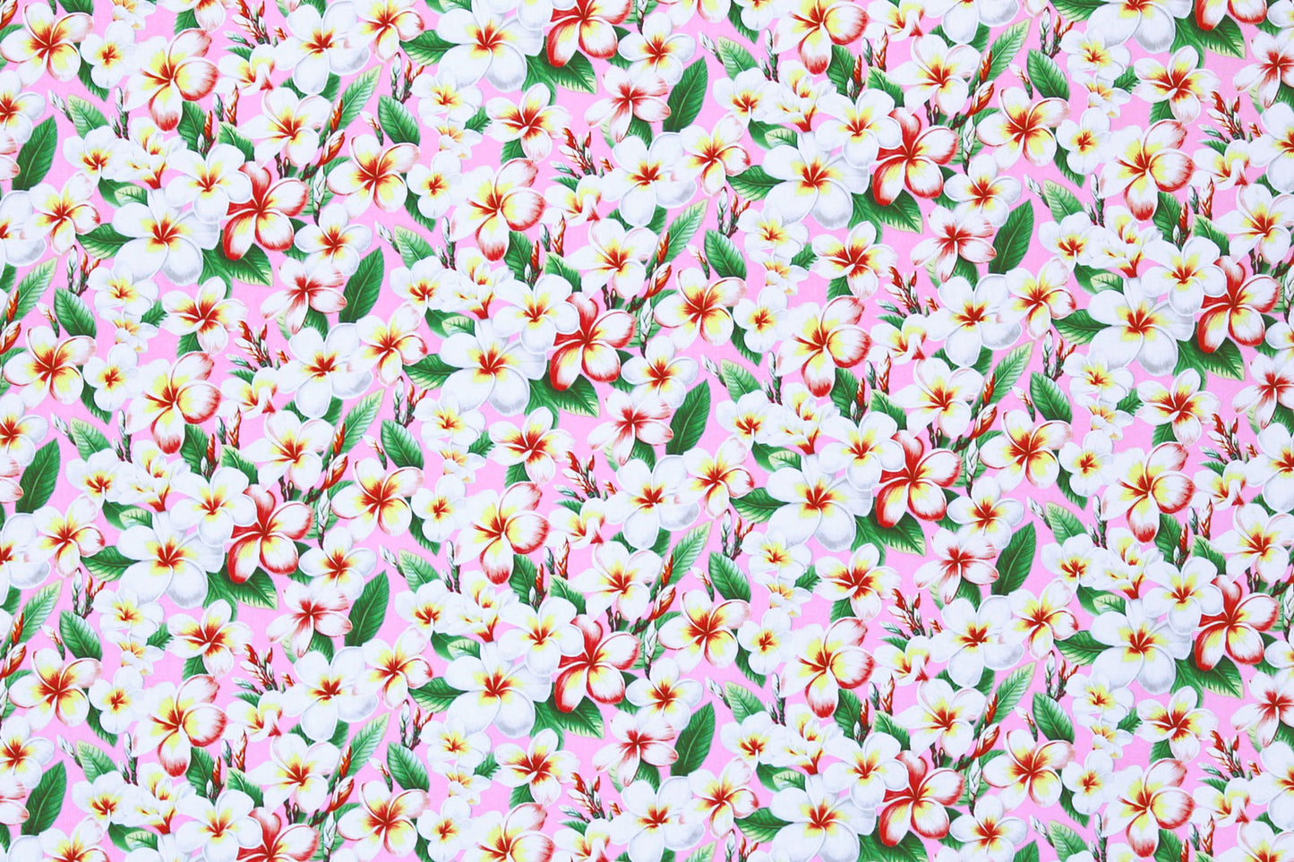 CAA0011 Pink