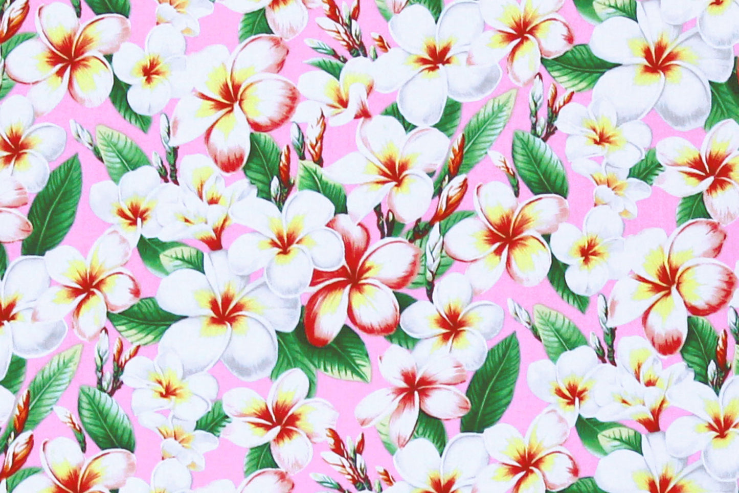 CAA0011 Pink
