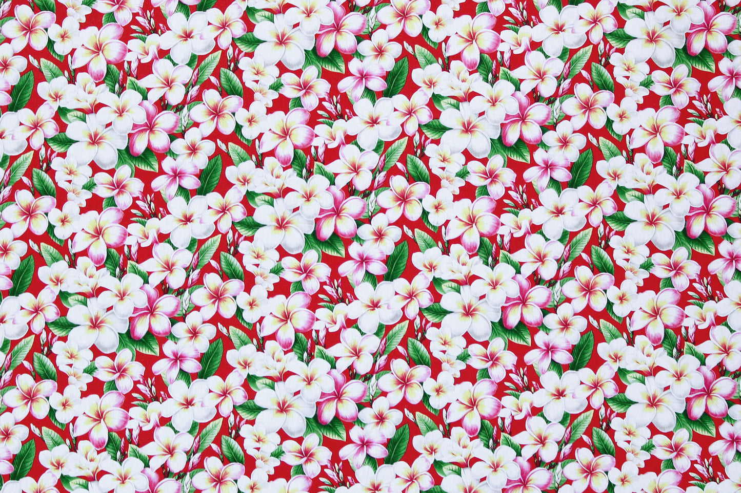 CAA0011 Red