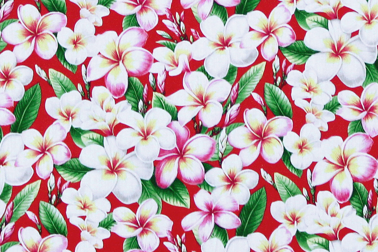 CAA0011 Red